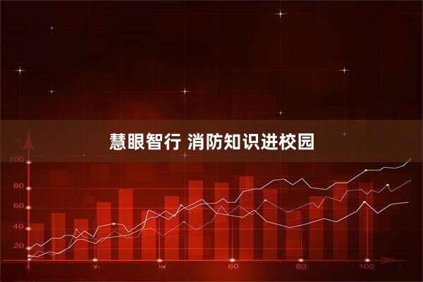 慧眼智行 消防知识进校园