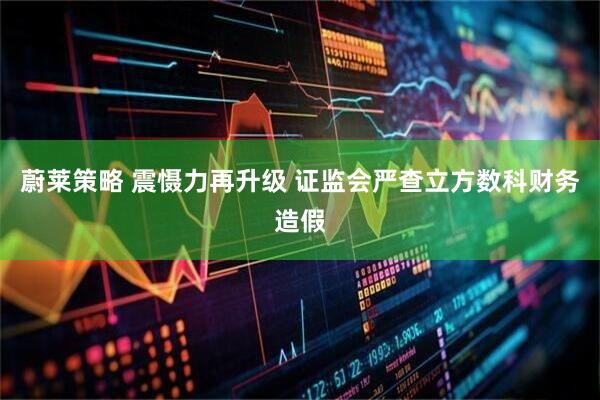 蔚莱策略 震慑力再升级 证监会严查立方数科财务造假